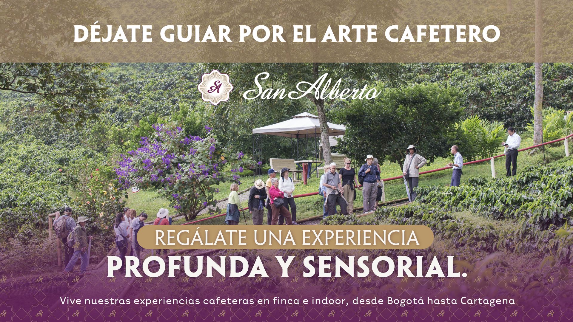 experiencias-cafeteras-cafe-san-alberto